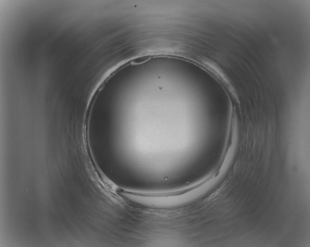 X0000062621340200601040955