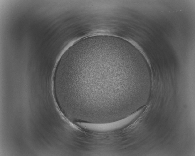 X0000062621341200601040955