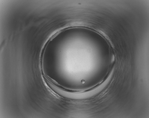 X0000062621342200601040955