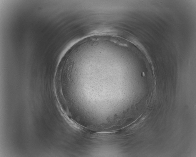 X0000062621344200601040955