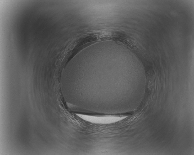 X0000062621345200601040954