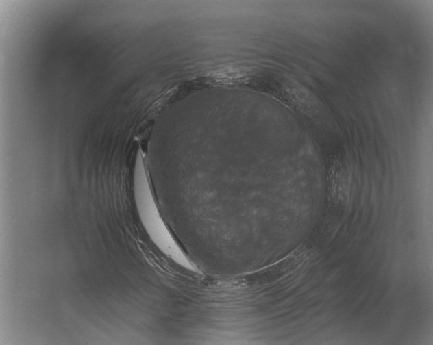 X0000062621346200601040954