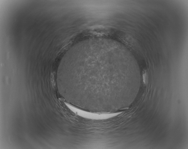 X0000062621347200601040954