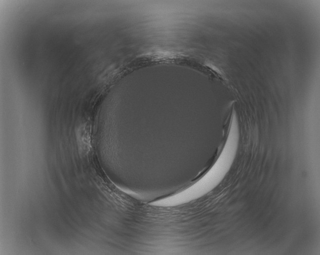 X0000062621348200601040954