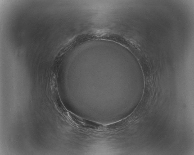 X0000062621349200601040954