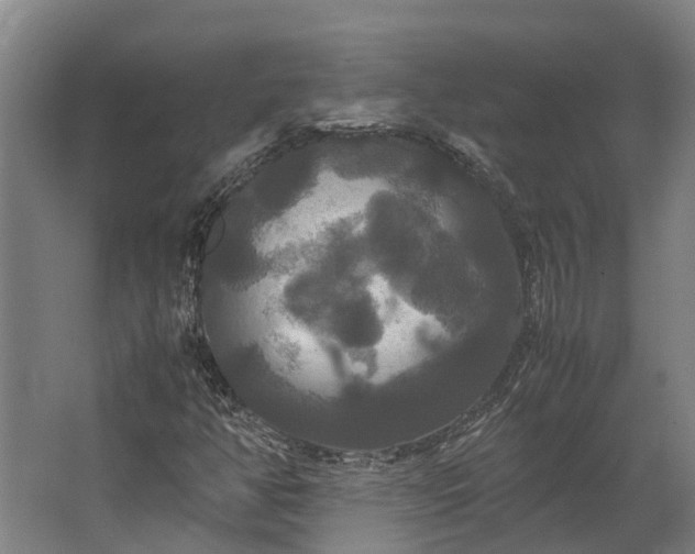 X0000062621350200601040954