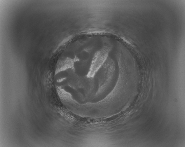 X0000062621351200601040954