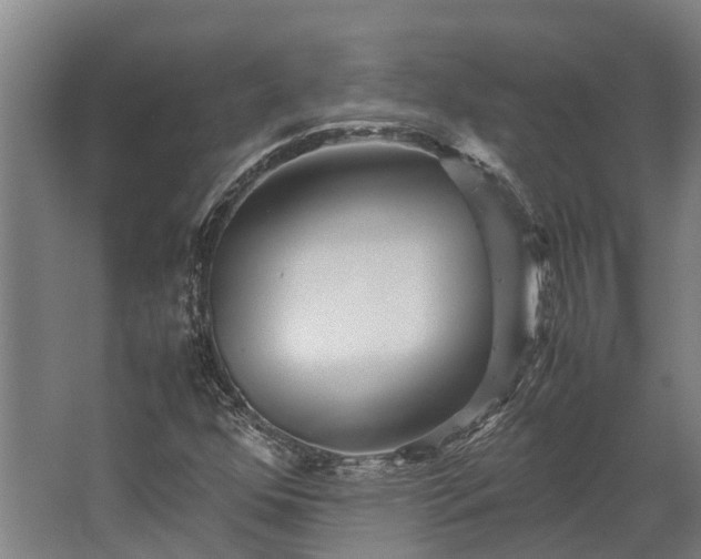 X0000062621352200601040954