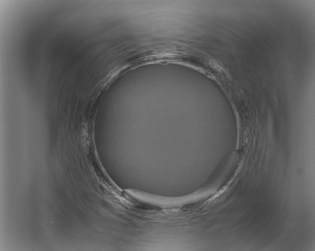 X0000062621353200601040954