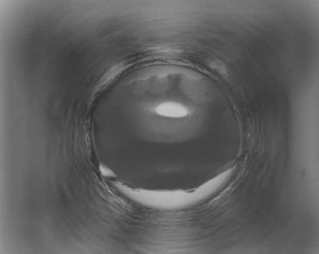 X0000062621354200601040954