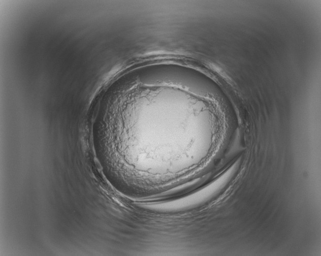 X0000062621357200601040954