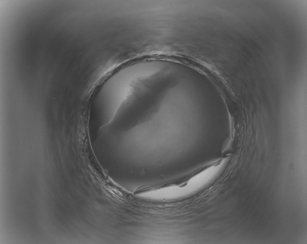 X0000062621359200601040954