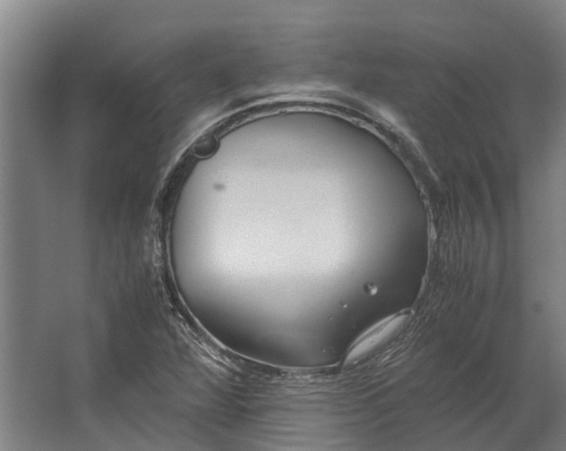 X0000062621360200601040954