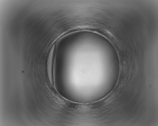 X0000062621361200601040954