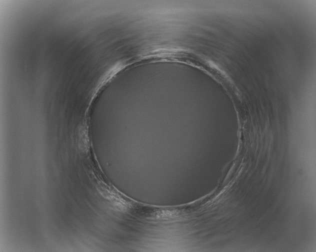 X0000062621362200601040954