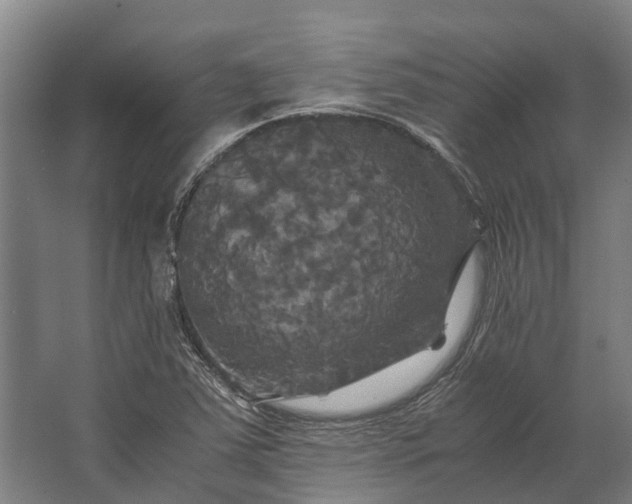 X0000062621363200601040954