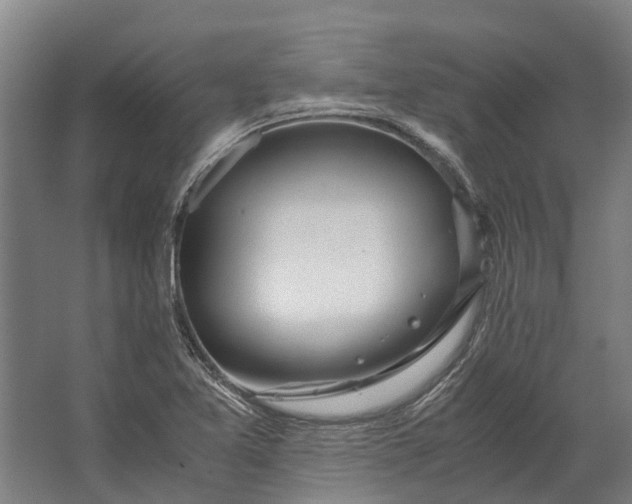 X0000062621365200601040954