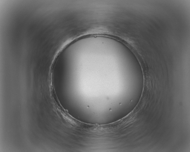 X0000062621366200601040954