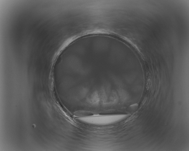 X0000062621367200601040954