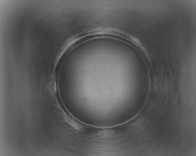 X0000062621368200601040954