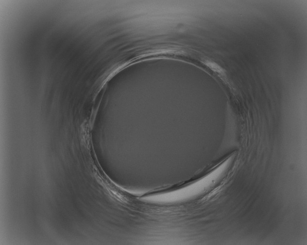 X0000062621369200601040954