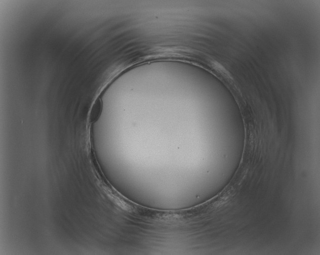 X0000062621370200601040954