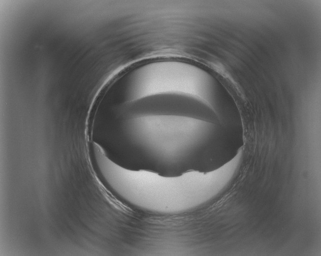 X0000062621372200601040954