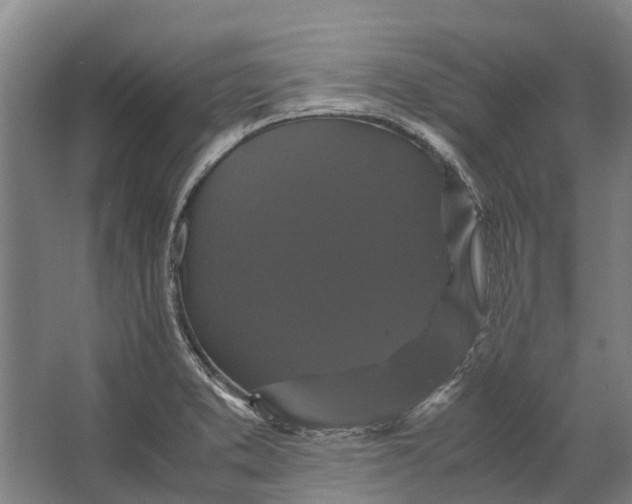 X0000062621373200601040954