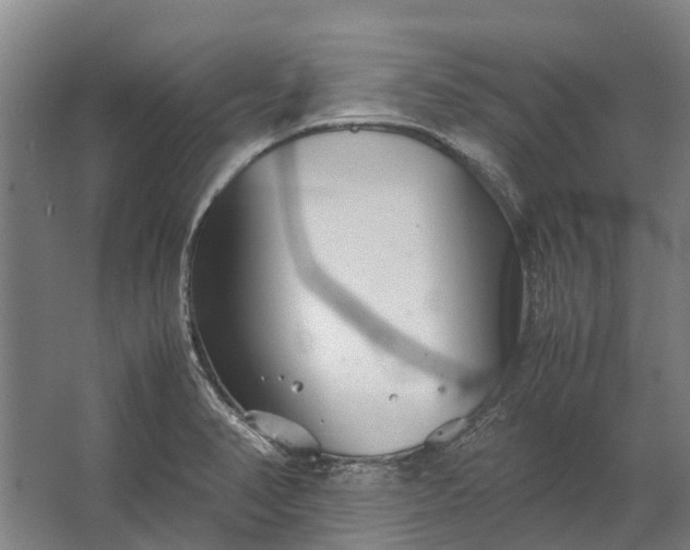 X0000062621374200601040954