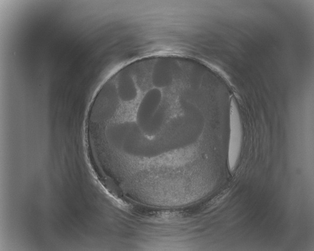 X0000062621375200601040954