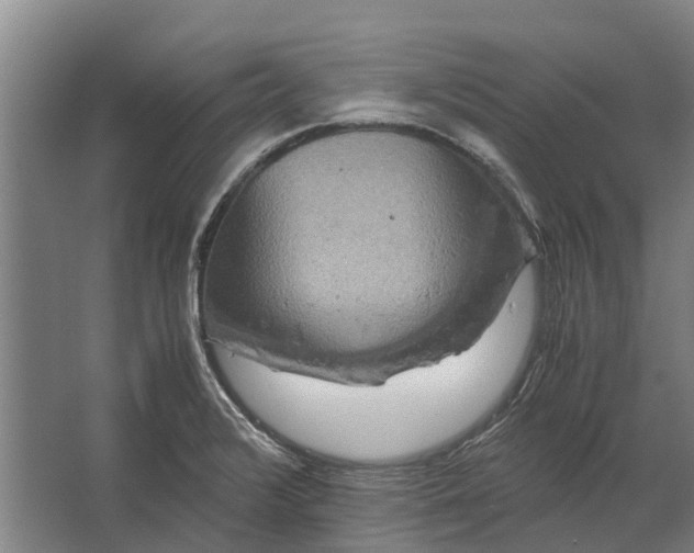 X0000062621376200601040954