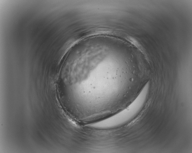 X0000062621377200601040954