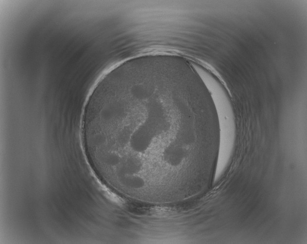 X0000062621379200601040954