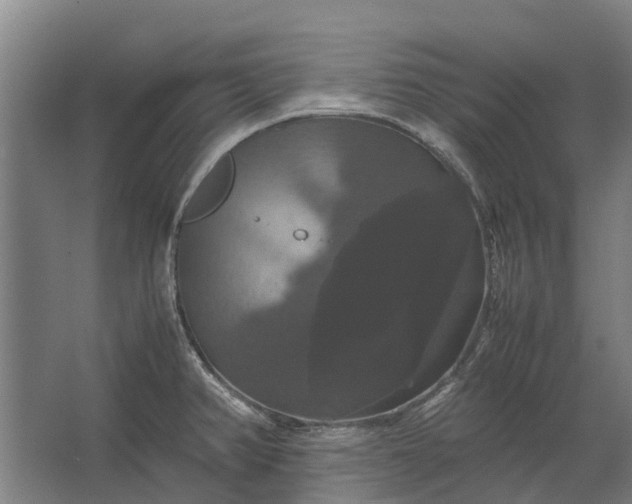 X0000062621382200601040954