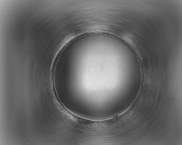 X0000062621384200601040954