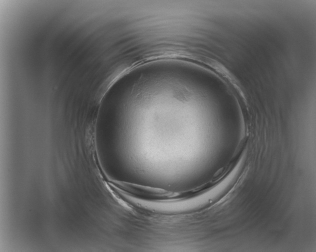 X0000062621385200601040954