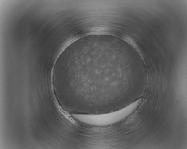 X0000062621386200601040954