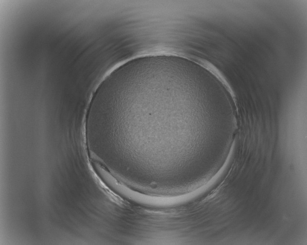 X0000062621388200601040954