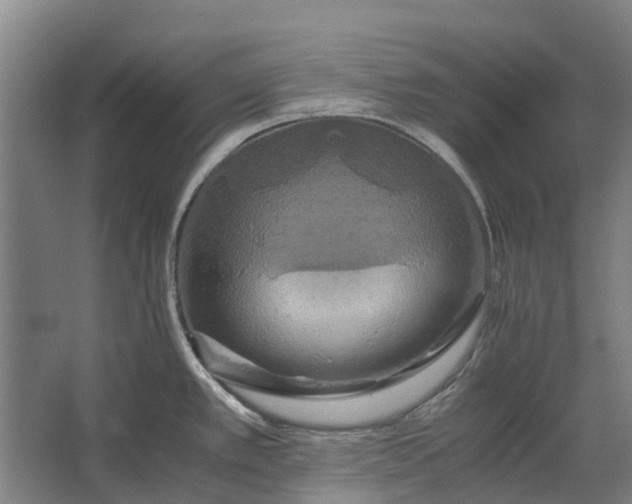 X0000062621389200601040954