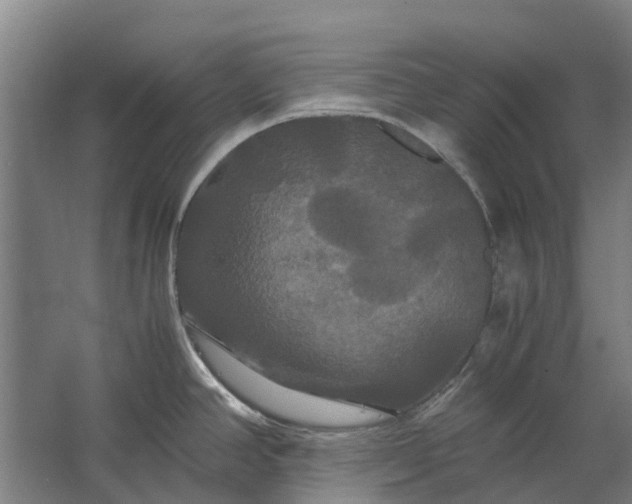 X0000062621390200601040954