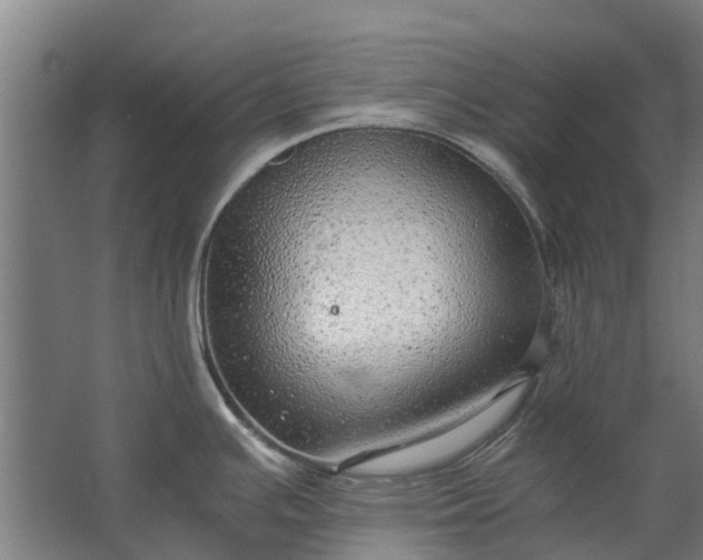 X0000062621391200601040954