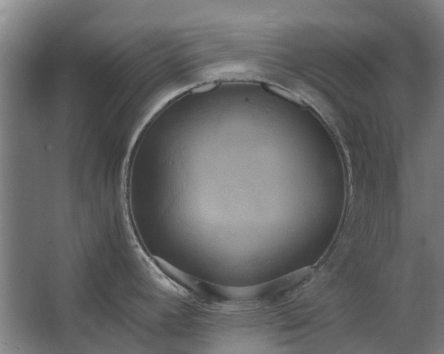 X0000062621392200601040954