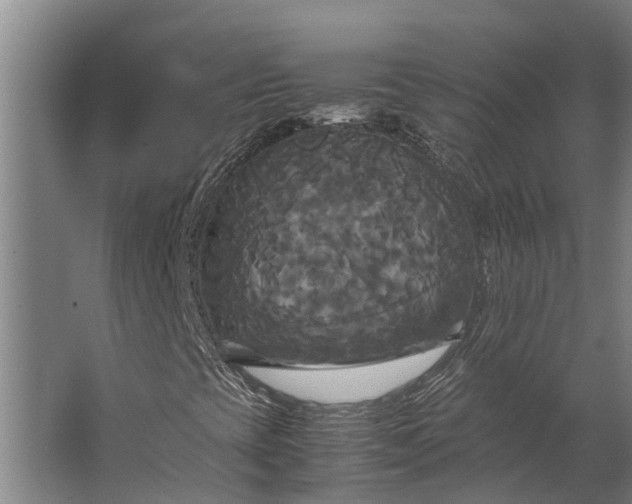 X0000062621393200601040953