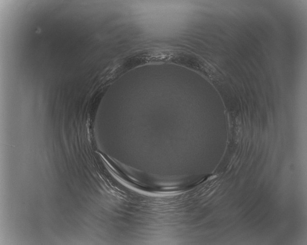 X0000062621394200601040953