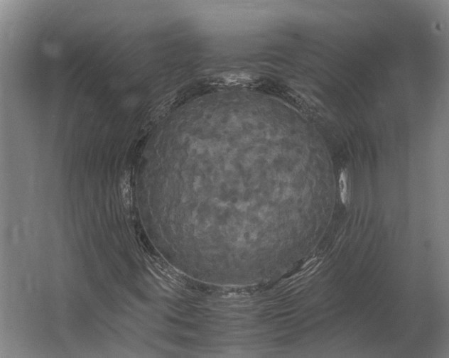 X0000062621395200601040953