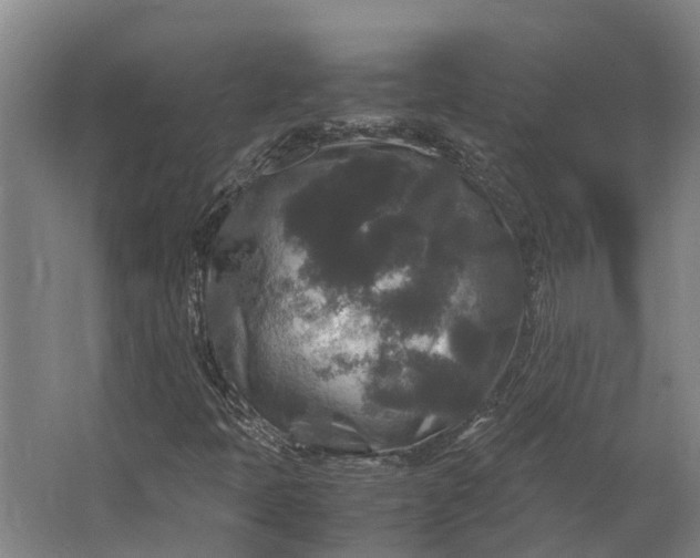 X0000062621397200601040953