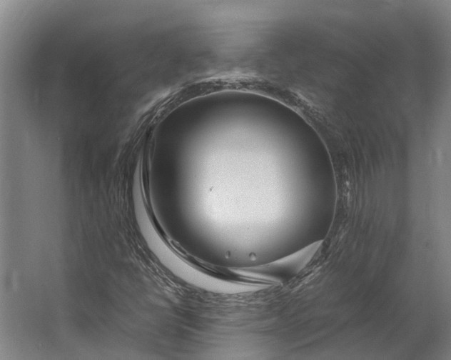 X0000062621398200601040953