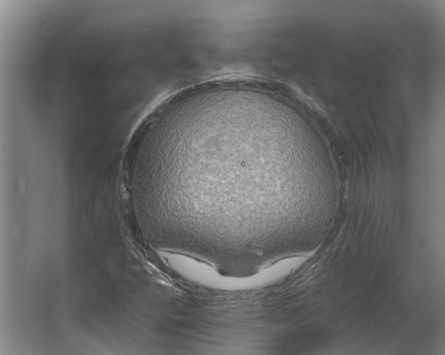 X0000062621400200601040953