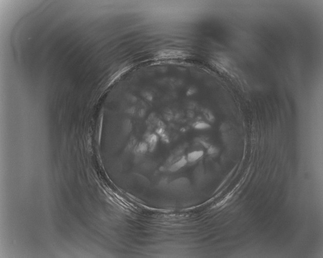 X0000062621401200601040953