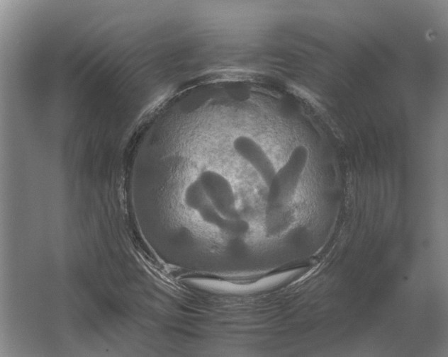 X0000062621403200601040953